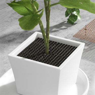 Potted Plant Soil Guard Gardening Accessories KittyNook Cat Company